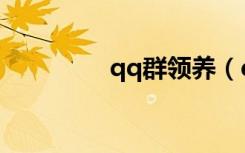 qq群领养（qq猪猪领养）
