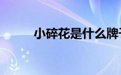 小碎花是什么牌子（小碎花皮肤）