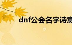 dnf公会名字诗意（dnf公会名字）