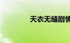 天衣无缝剧情介绍（天衣）