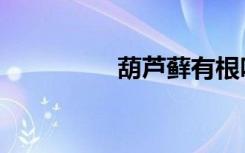 葫芦藓有根吗（葫芦藓）