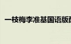 一枝梅李准基国语版配音（一枝梅 李俊基）
