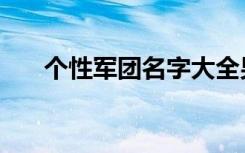 个性军团名字大全男（个性军团名字）
