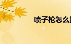 喷子枪怎么折（喷子枪）