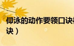 仰泳的动作要领口诀视频（仰泳的动作要领口诀）