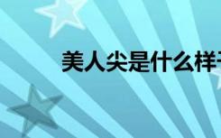美人尖是什么样子图片（美人尖）