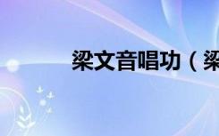 梁文音唱功（梁文音好听的歌）