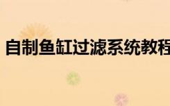 自制鱼缸过滤系统教程（自制鱼缸过滤系统）
