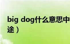 big dog什么意思中文翻译（bigdog主要用途）