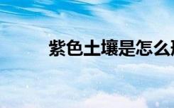 紫色土壤是怎么形成的（紫色土）