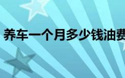 养车一个月多少钱油费（养车一个月多少钱）