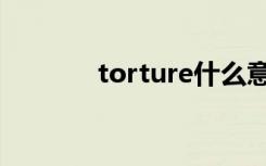 torture什么意思（torture）