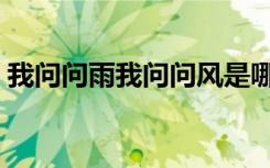 我问问雨我问问风是哪首歌的歌词（我问问）