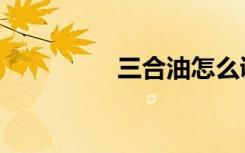 三合油怎么调（三合油）