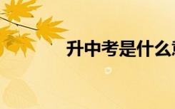 升中考是什么意思（升中考）