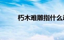 朽木难雕指什么动物（朽木难雕）