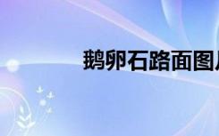 鹅卵石路面图片（鹅卵石路）