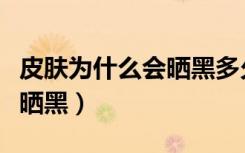 皮肤为什么会晒黑多久会恢复（皮肤为什么会晒黑）