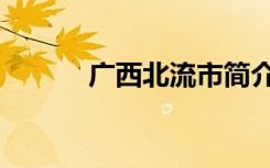广西北流市简介（广西北流市）