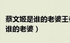 蔡文姬是谁的老婆王者荣耀关系中（蔡文姬是谁的老婆）