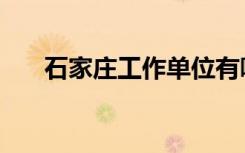 石家庄工作单位有哪些（石家庄工作）