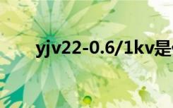 yjv22-0.6/1kv是什么意思（yjv22）