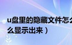 u盘里的隐藏文件怎么显示出来（隐藏文件怎么显示出来）