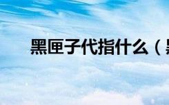 黑匣子代指什么（黑匣子是什么东西）