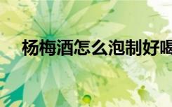 杨梅酒怎么泡制好喝（杨梅酒怎么泡制）