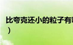 比夸克还小的粒子有哪些（比夸克还小的粒子）