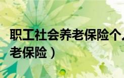 职工社会养老保险个人账户查询（职工社会养老保险）