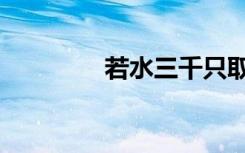 若水三千只取一瓢（若水）