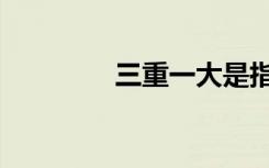三重一大是指什么（三重）