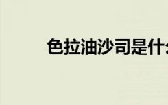 色拉油沙司是什么（色拉油沙司）