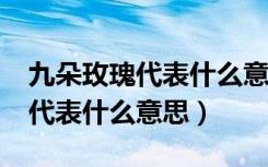 九朵玫瑰代表什么意思啊?送老婆（九朵玫瑰代表什么意思）