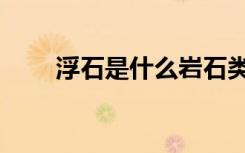 浮石是什么岩石类型（浮石是什么）