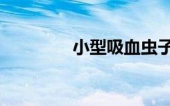 小型吸血虫子（吸血虫子）