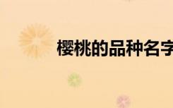 樱桃的品种名字（樱桃的品种）