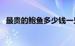 最贵的鲍鱼多少钱一只（鲍鱼多少钱一只）
