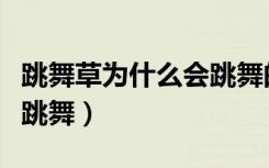 跳舞草为什么会跳舞的作文（跳舞草为什么会跳舞）