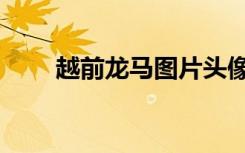 越前龙马图片头像（越前龙马图片）