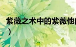 紫薇之术中的紫薇他的含义是什么（紫薇之术）