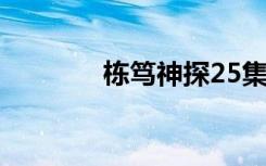 栋笃神探25集（栋笃神探2）