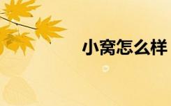 小窝怎么样（小窝皮肤）