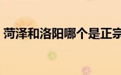 菏泽和洛阳哪个是正宗牡丹之乡（牡丹之乡）