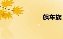 飙车族（彪车）