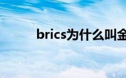 brics为什么叫金砖国家（brics）