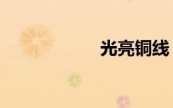 光亮铜线（光亮铜）