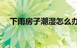 下雨房子潮湿怎么办（房子潮湿怎么办）