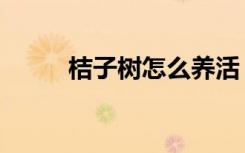 桔子树怎么养活（桔子树怎么养）